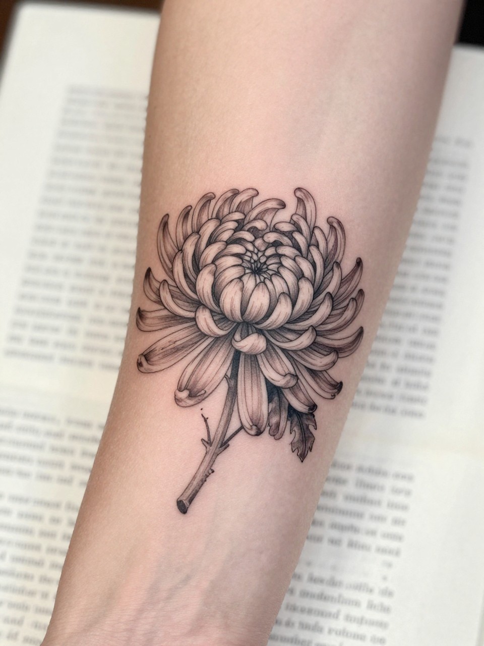 Image Prompt: "Extreme close-up of a chrysanthemum flower tattoo with tiny handwritten name script on the inner forearm, black ink fine line floral design, delicate layered petals, soft shading, elegant cursive detail, realistic skin texture, book page underneath the arm, feminine soft lifestyle context, clean background, tattoo-centered inspiration photo (no watermarks on images)"