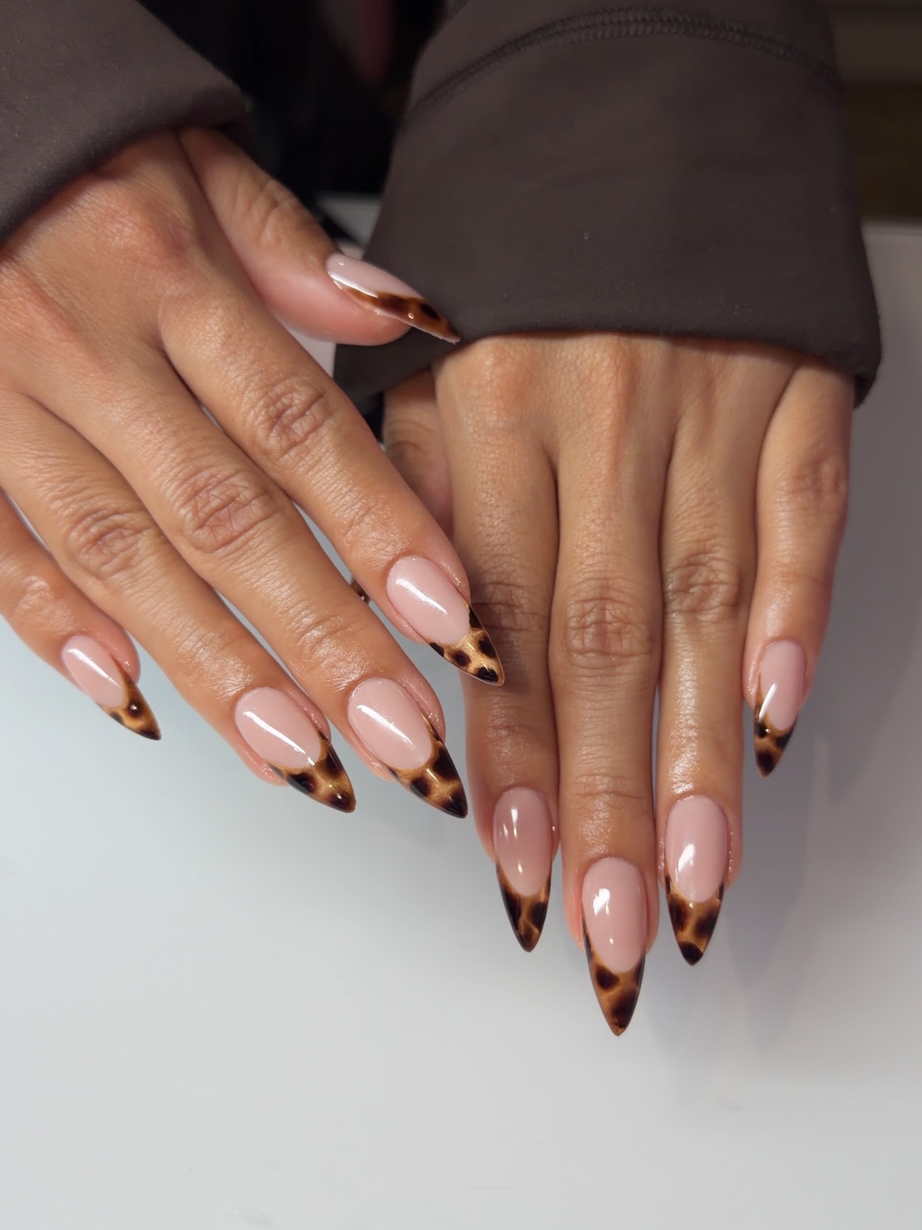 Cat Eye Plus Tortoise Stiletto French Tips