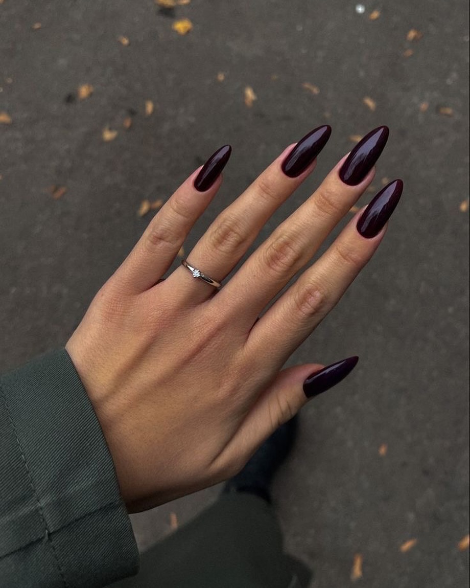Dark Autumn Purple Nails