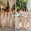 Lovely Champagne Bridesmaid Dresses for Your Big Day