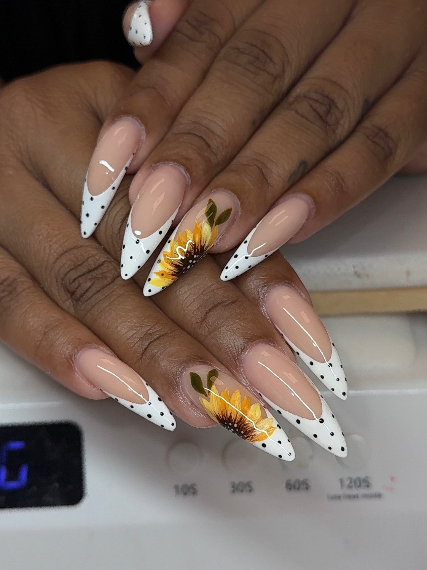 Sunflower Paired with Polka Dot