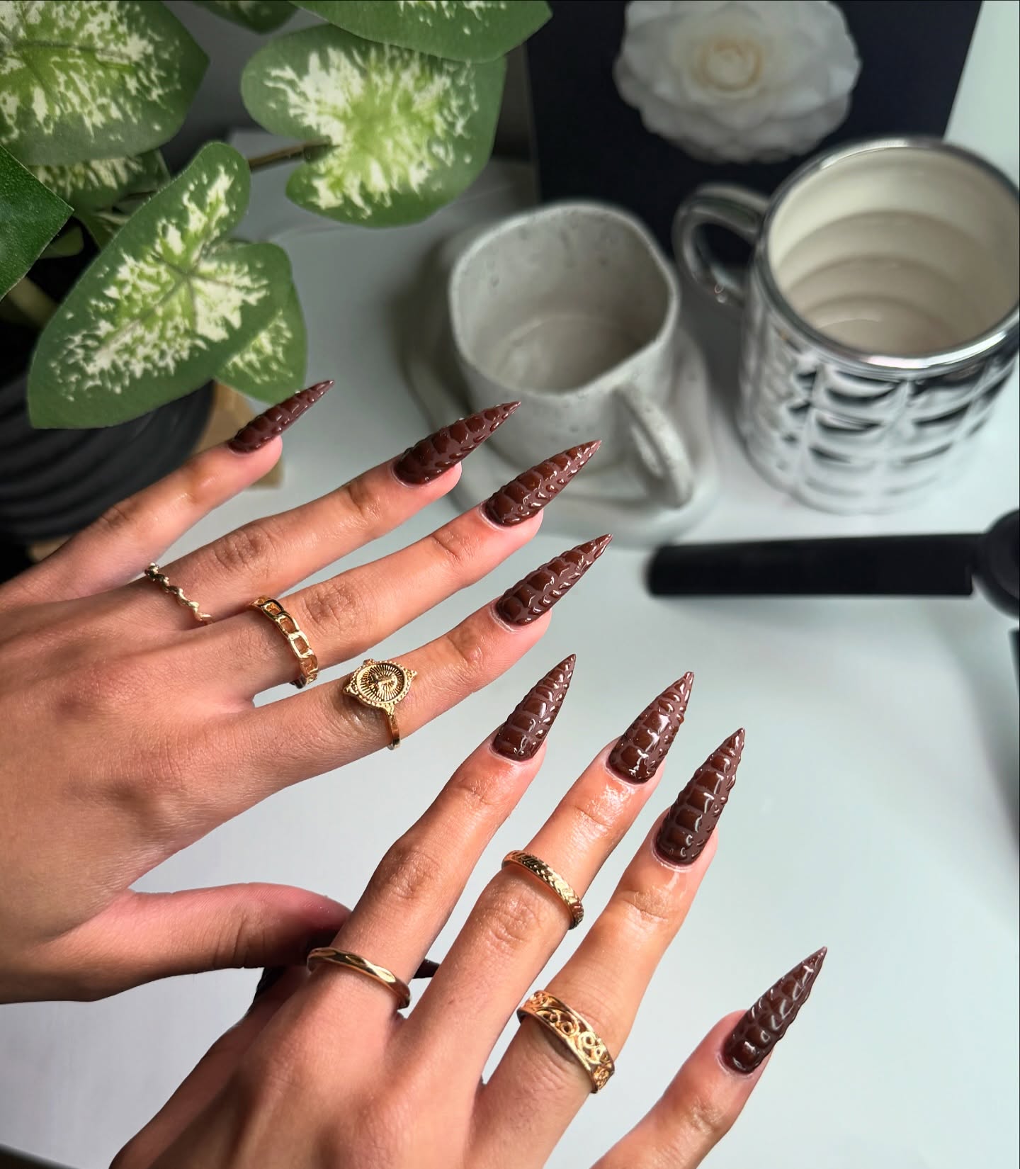 Dark Brown Birkin Nails