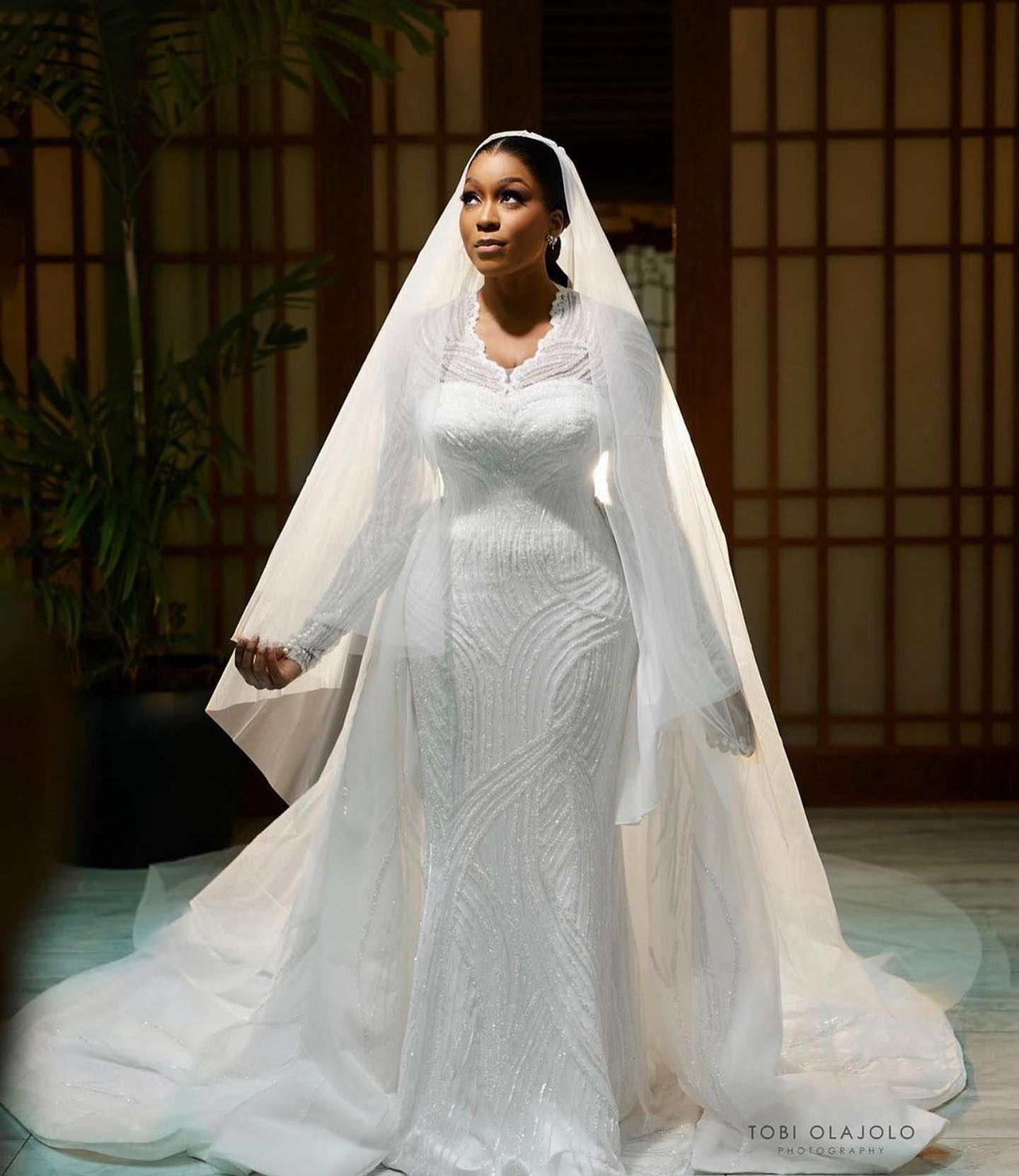Deep V-Neck Embellished Long Sleeves Wedding Dress