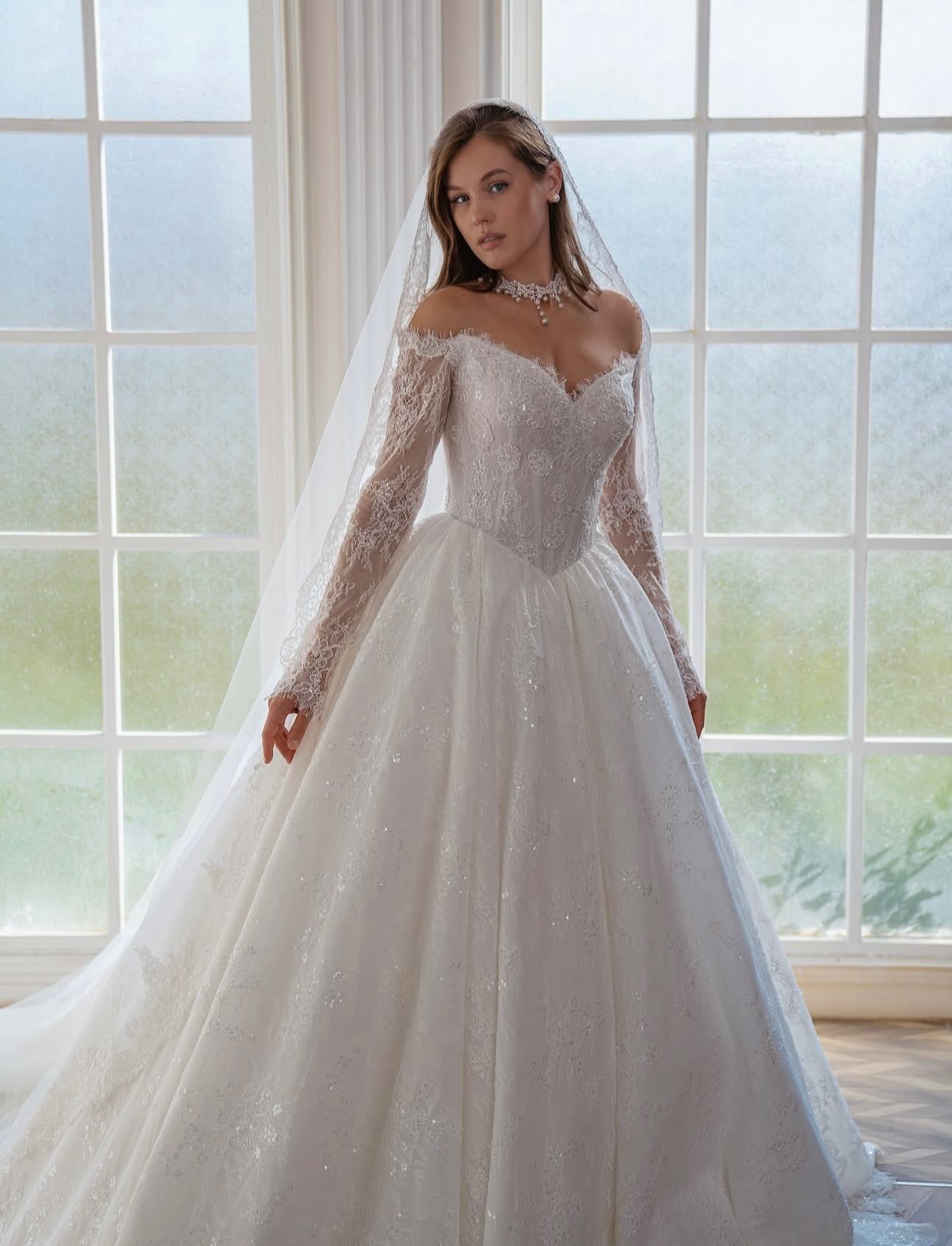 Princess Silhouette Long Sleeve Gown with Delicate Lace Details
